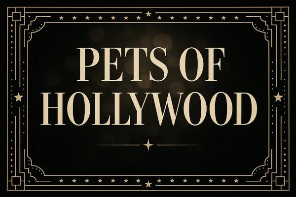 Pets of Hollywood